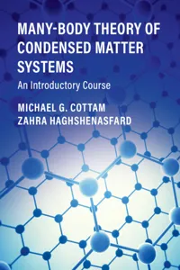 Many-Body Theory of Condensed Matter Systems_cover