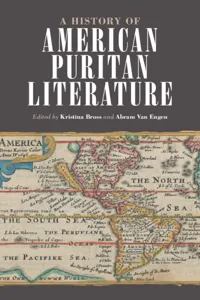 A History of American Puritan Literature_cover