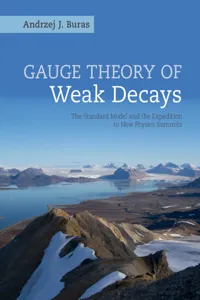 Gauge Theory of Weak Decays_cover