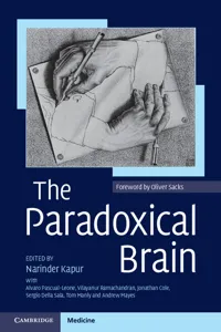 The Paradoxical Brain_cover