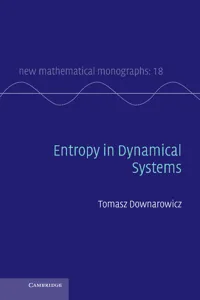 Entropy in Dynamical Systems_cover