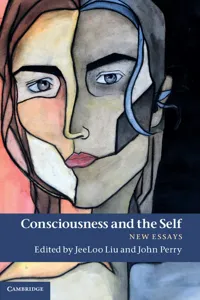 Consciousness and the Self_cover