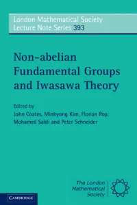 Non-abelian Fundamental Groups and Iwasawa Theory_cover