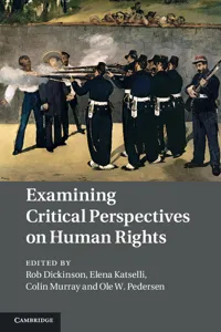 Examining Critical Perspectives on Human Rights_cover