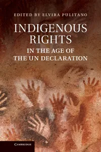 Indigenous Rights in the Age of the UN Declaration_cover