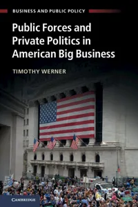 Public Forces and Private Politics in American Big Business_cover