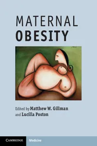 Maternal Obesity_cover