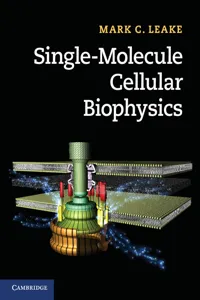 Single-Molecule Cellular Biophysics_cover