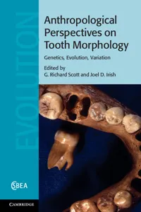 Anthropological Perspectives on Tooth Morphology_cover