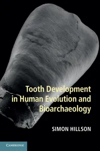 Tooth Development in Human Evolution and Bioarchaeology_cover