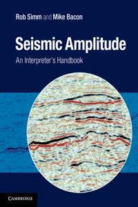 Seismic Amplitude_cover