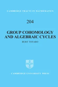 Group Cohomology and Algebraic Cycles_cover