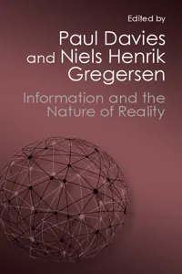 Information and the Nature of Reality_cover