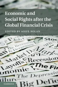 Economic and Social Rights after the Global Financial Crisis_cover