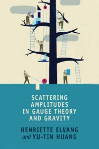 Scattering Amplitudes in Gauge Theory and Gravity_cover