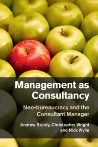 Management as Consultancy_cover