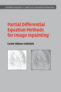 Partial Differential Equation Methods for Image Inpainting_cover