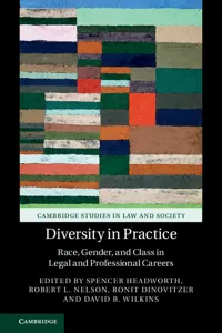 Diversity in Practice_cover