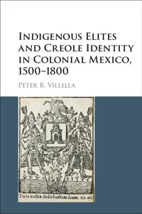 Indigenous Elites and Creole Identity in Colonial Mexico, 1500–1800_cover