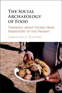 The Social Archaeology of Food_cover