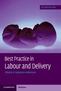 Best Practice in Labour and Delivery_cover