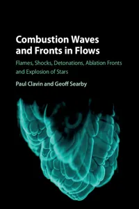 Combustion Waves and Fronts in Flows_cover