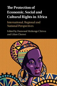 The Protection of Economic, Social and Cultural Rights in Africa_cover