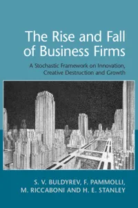 The Rise and Fall of Business Firms_cover