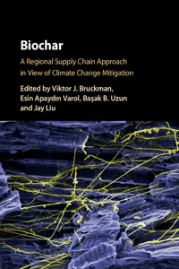 Biochar_cover