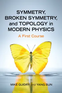 Symmetry, Broken Symmetry, and Topology in Modern Physics_cover