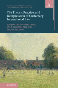 The Theory, Practice, and Interpretation of Customary International Law_cover