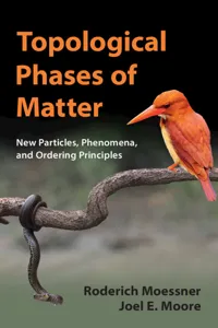 Topological Phases of Matter_cover