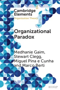 Organizational Paradox_cover