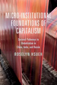 Micro-institutional Foundations of Capitalism_cover