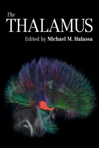 The Thalamus_cover