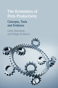 The Economics of Firm Productivity_cover