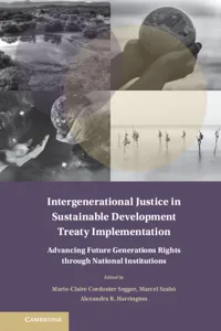 Intergenerational Justice in Sustainable Development Treaty Implementation_cover