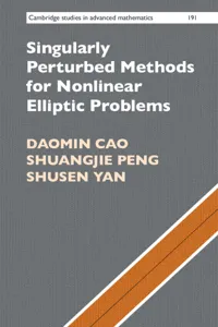 Singularly Perturbed Methods for Nonlinear Elliptic Problems_cover