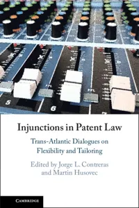 Injunctions in Patent Law_cover