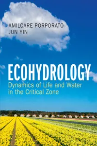 Ecohydrology_cover