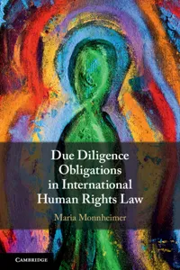 Due Diligence Obligations in International Human Rights Law_cover