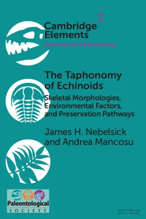 The Taphonomy of Echinoids