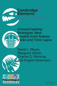 Crinoid Feeding Strategies: New Insights From Subsea Video And Time-Lapse_cover