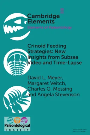 Crinoid Feeding Strategies: New Insights From Subsea Video And Time-Lapse