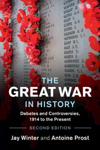 The Great War in History_cover