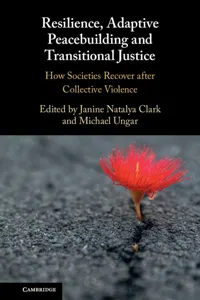 Resilience, Adaptive Peacebuilding and Transitional Justice_cover