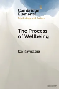 The Process of Wellbeing_cover
