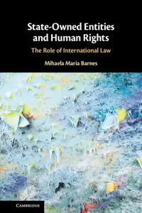 State-Owned Entities and Human Rights_cover