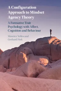 A Configuration Approach to Mindset Agency Theory_cover