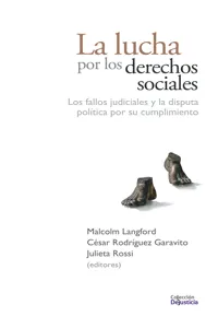 La lucha por los derechos sociales_cover